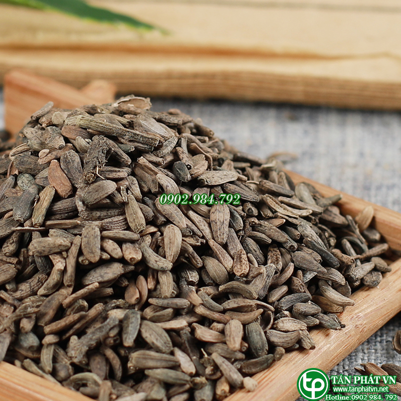 Ngưu bàng tử khô 500g - Thảo Dược Tấn Phát