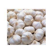 RAU GIA VỊ ĐÀ LAT - Củ tỏi 100g