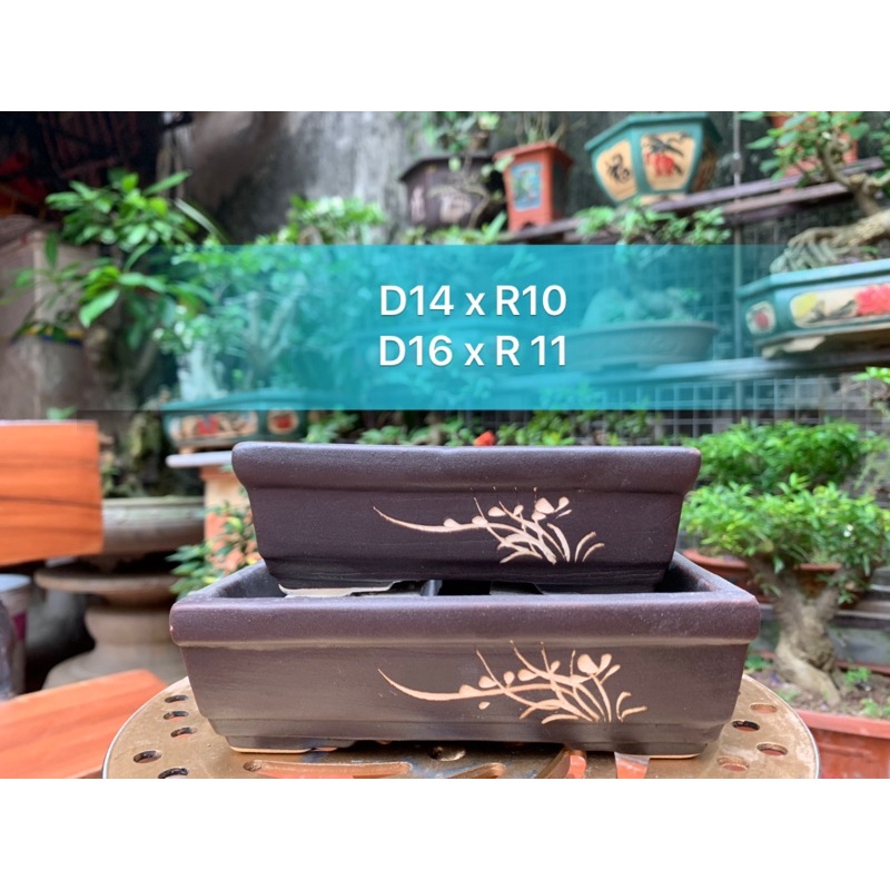 2 Chậu mini trồng cây bonsai mini- Chậu trồng cây bonsai - chậu trồng sen đá - chậu cảnh bonsai