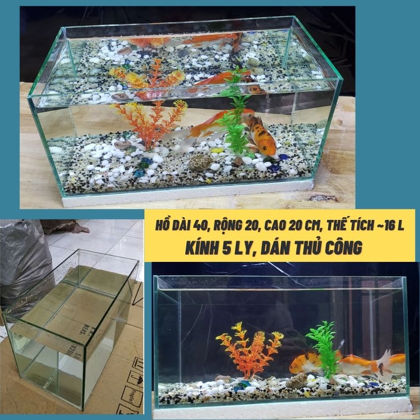 Bể cá mini 40cm COMBO đầy đủ có đèn led siêu dễ thương 3 chế độ sáng