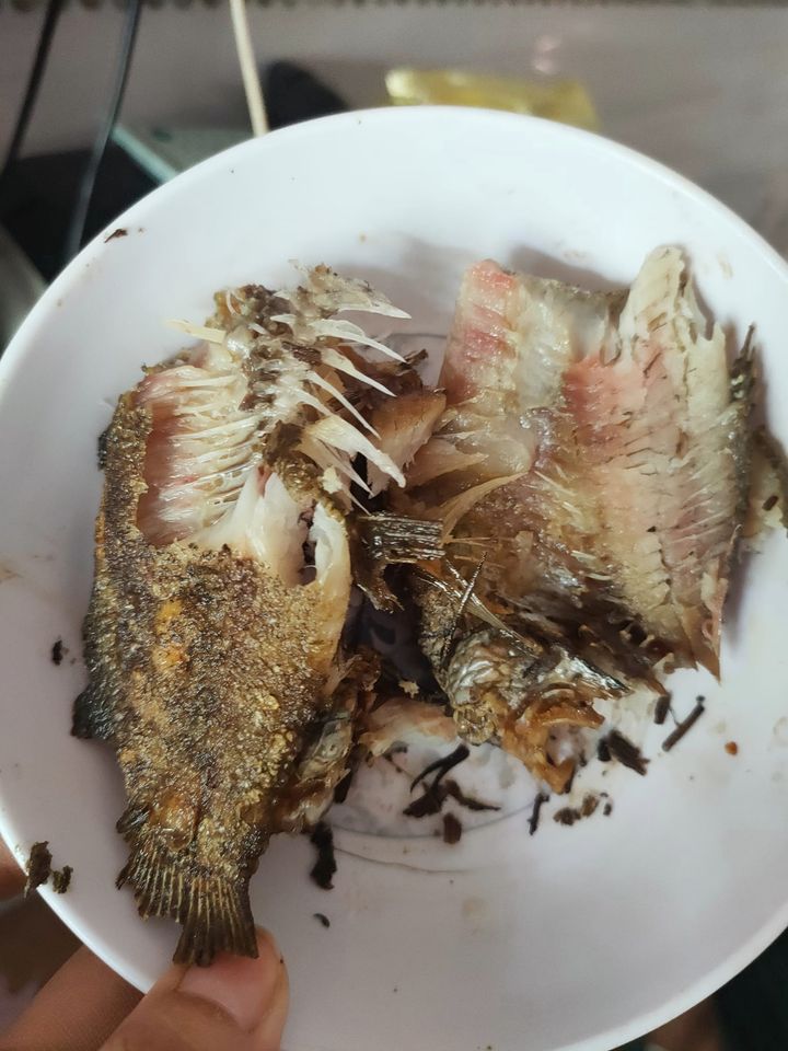 Khô cá Bổi 8 con/kg