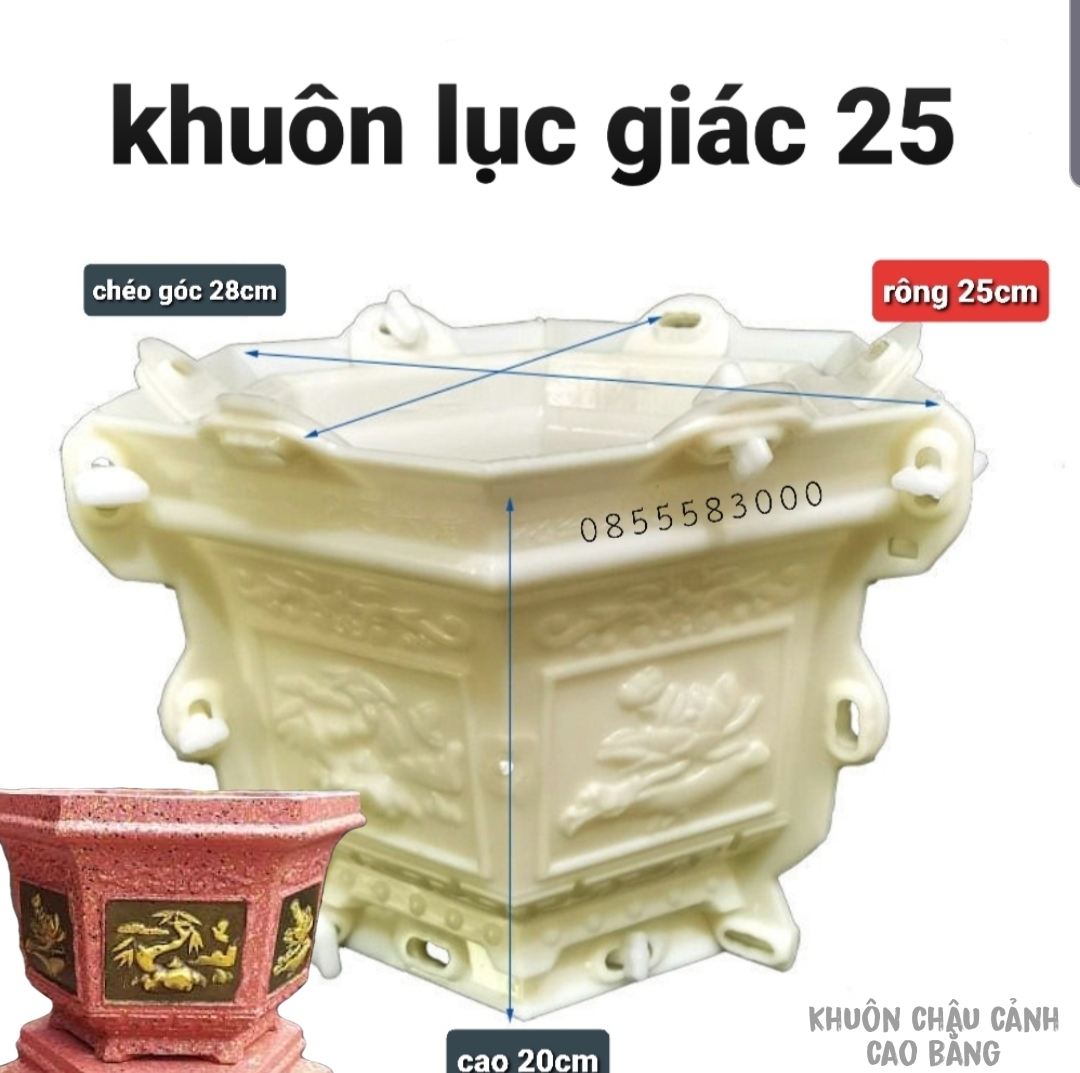 khuôn lục giác 25