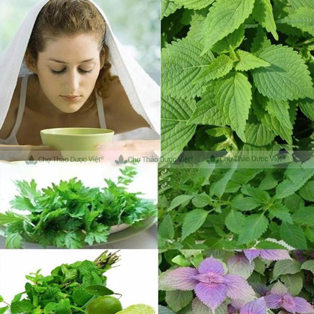 Lá kinh giới khô 100g, không lẫn cành, thơm, sạch, hỗ trợ ngừa cảm cúm, kháng khuẩn, tốt cho hô hấp