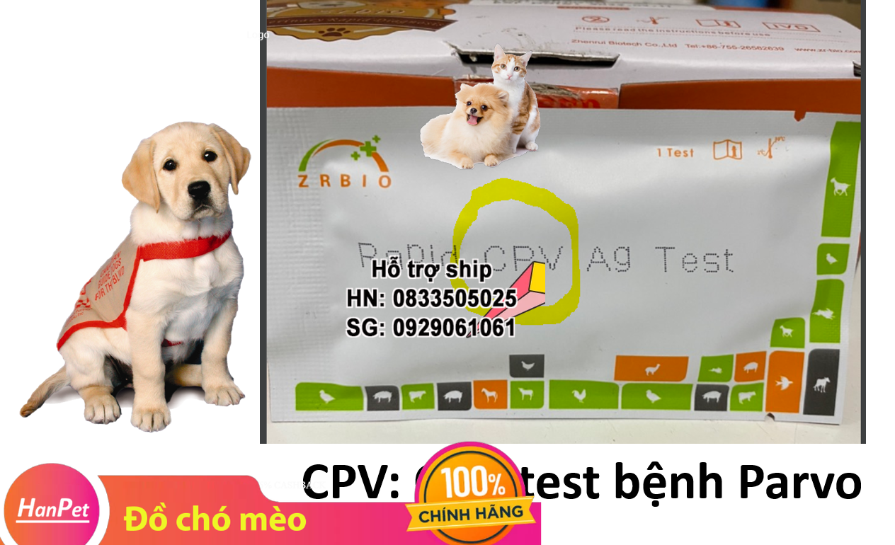 Hanpet - Que test bệnh chó mèo PARVO CARE FPV dụng cụ phòng khám chó mèo / que thử bệnh parvo tại