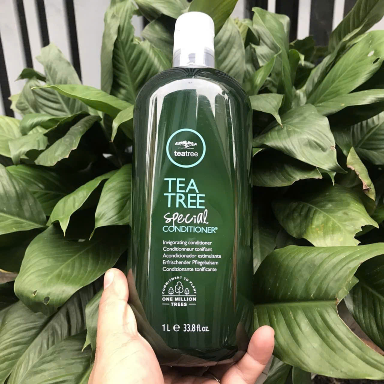 DẦU GỘI XẢ TRÀ XANH BẠC HÀ HỖ TRỢ TRỊI GÀU 1000ML, KHÁNG KHUẨN PAUL MITCHELL TEA TREE USA1000ml