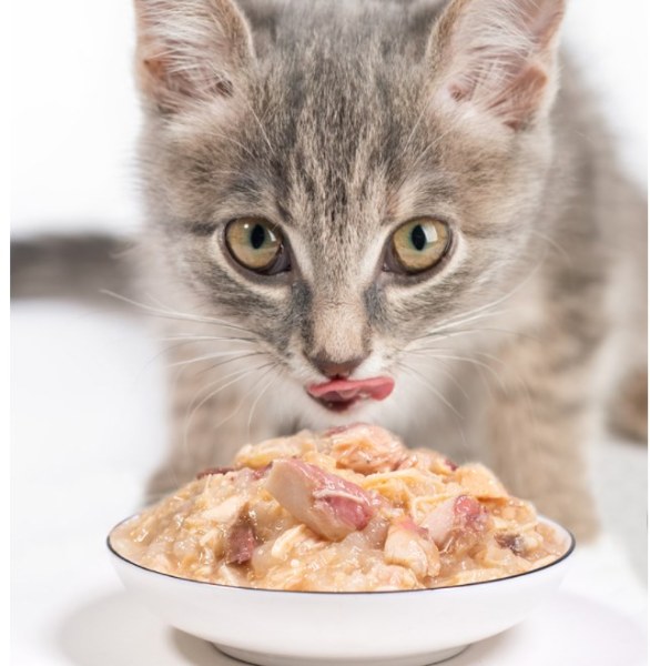 Pate cho mèo Balance dạng gói 85g | Thức ăn bổ sung dinh dưỡng pate cho mèo