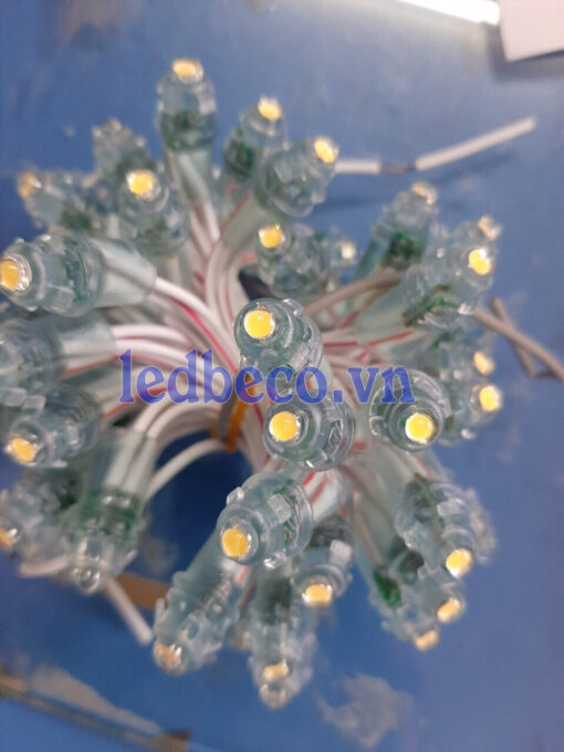 [24K/1 dây/50 bóng] LED ĐÚC PHI 5 ĐẾ 8MM XQD-LEDBECO