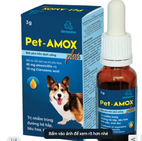 Dung dịch uống pet amox cho chó mèo bị hô hấp