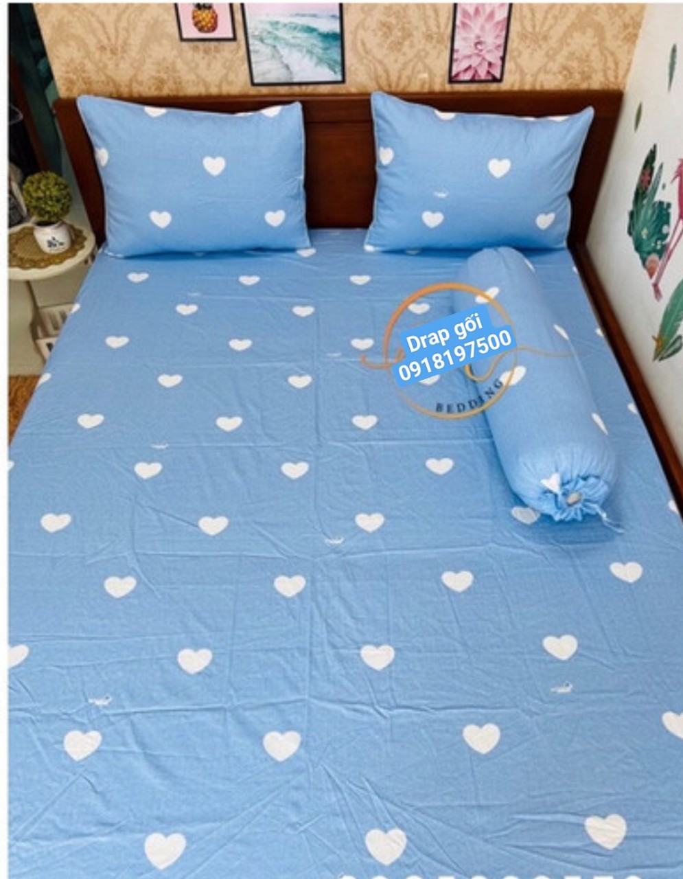 [HCM]Bộ Drap Cotton Thắng Lợi {4 MÓN} đủ size { chuẩn logo]