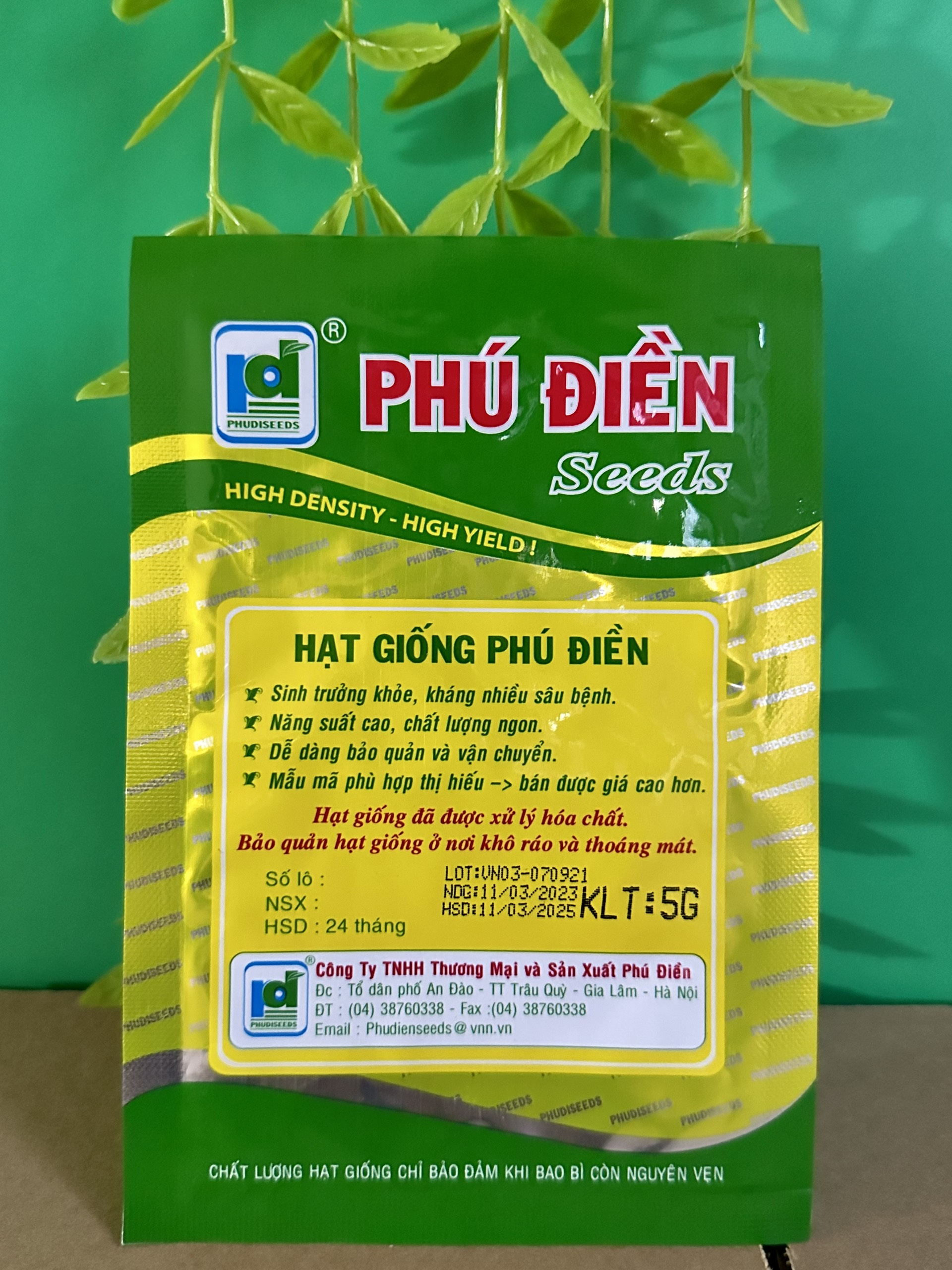 Hạt giống rau xà lách Dún Vàng PD061