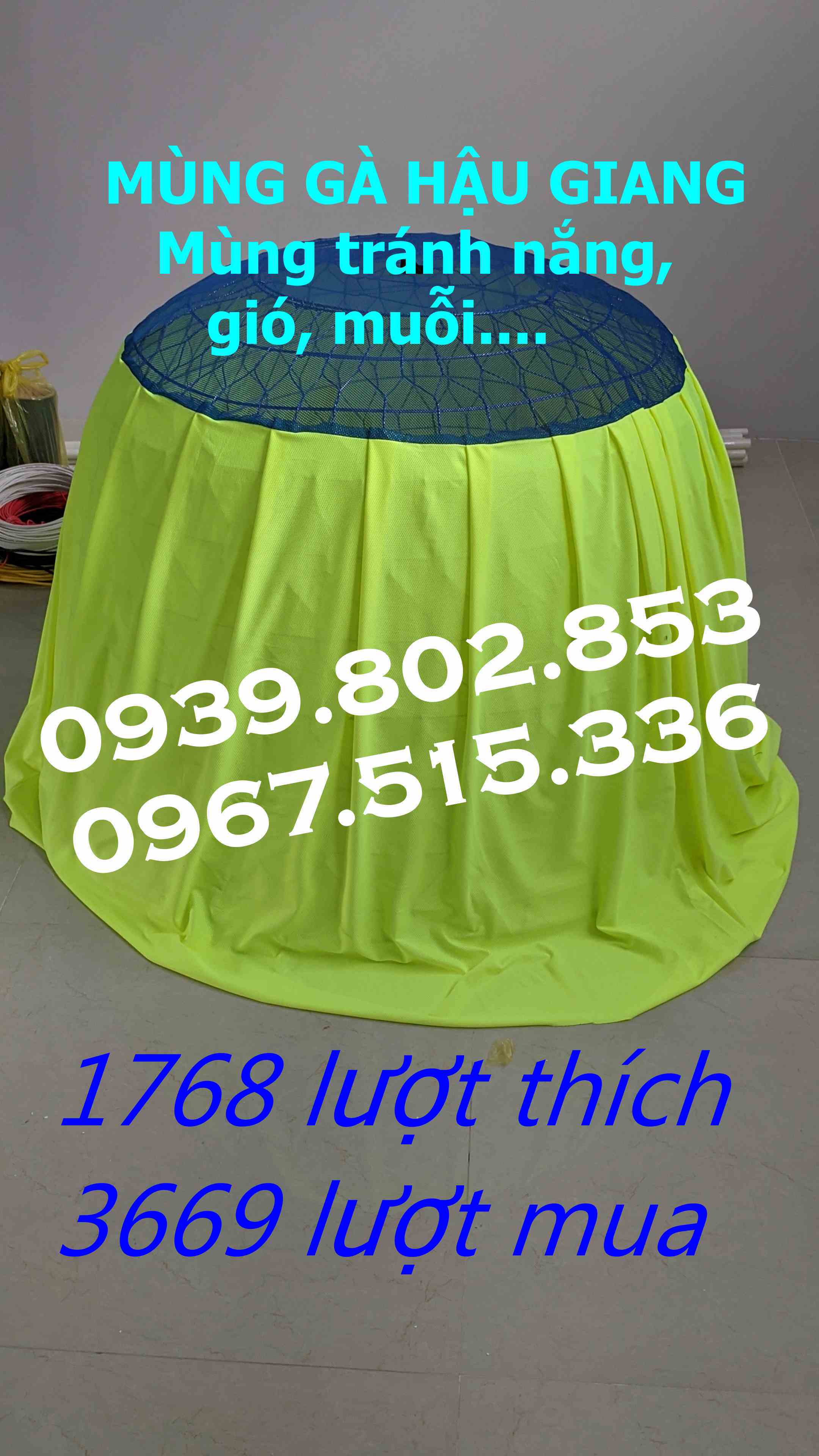 mùng trùm bội gà tre 90cm