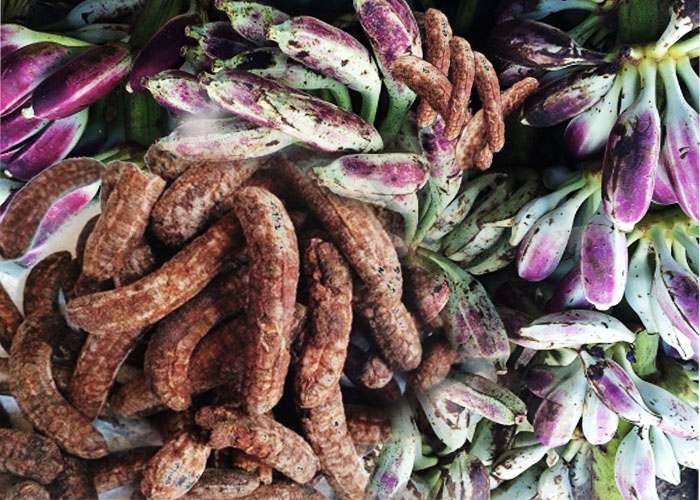 [HCM]Chuối hột rừng - LOẠI CHÍN NGON GÓI 1KG