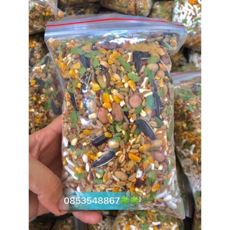 Thức ăn trộn cơ bản cho chuột Hamster, Sóc...