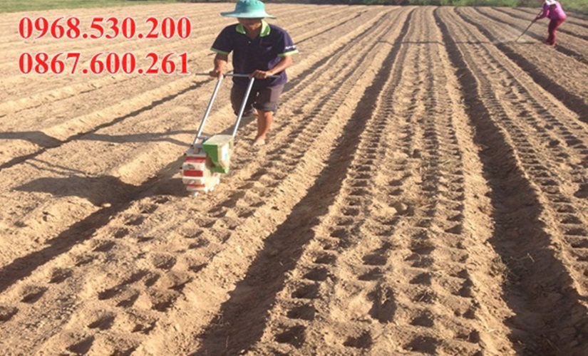 Máy gieo hạt đa năng Vinafarm 989 (12 răng)