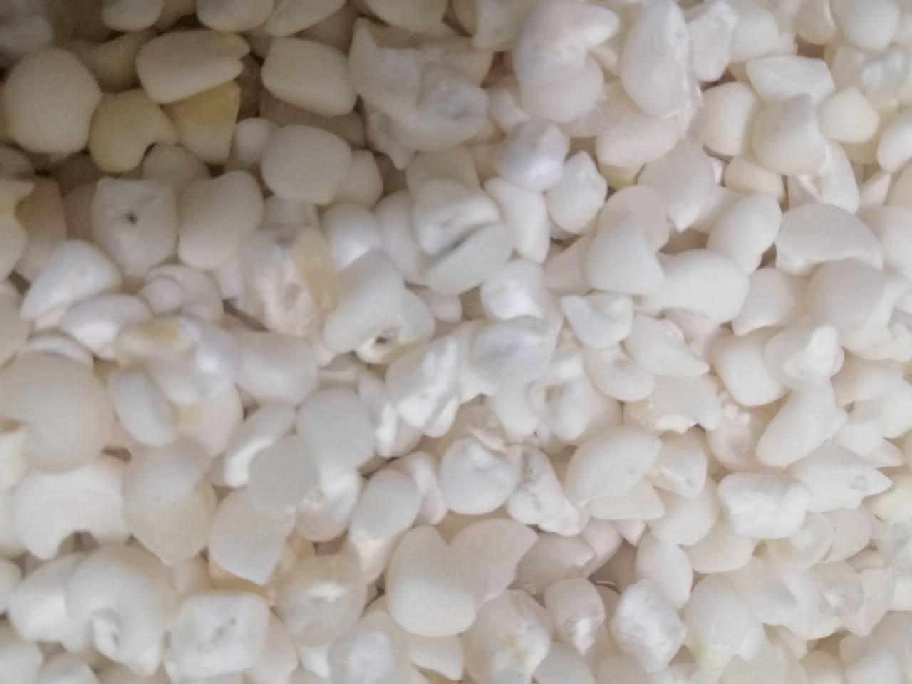 BẮP TRẮNG XAY 4 kg