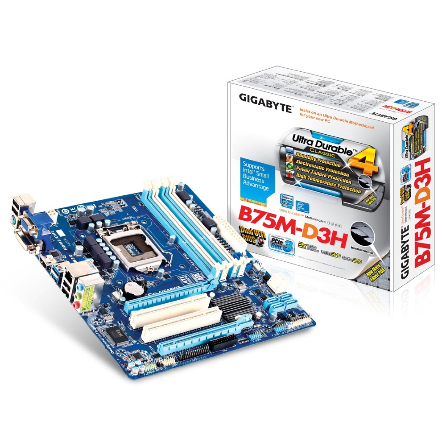 Main socket 1155 tổng hợp