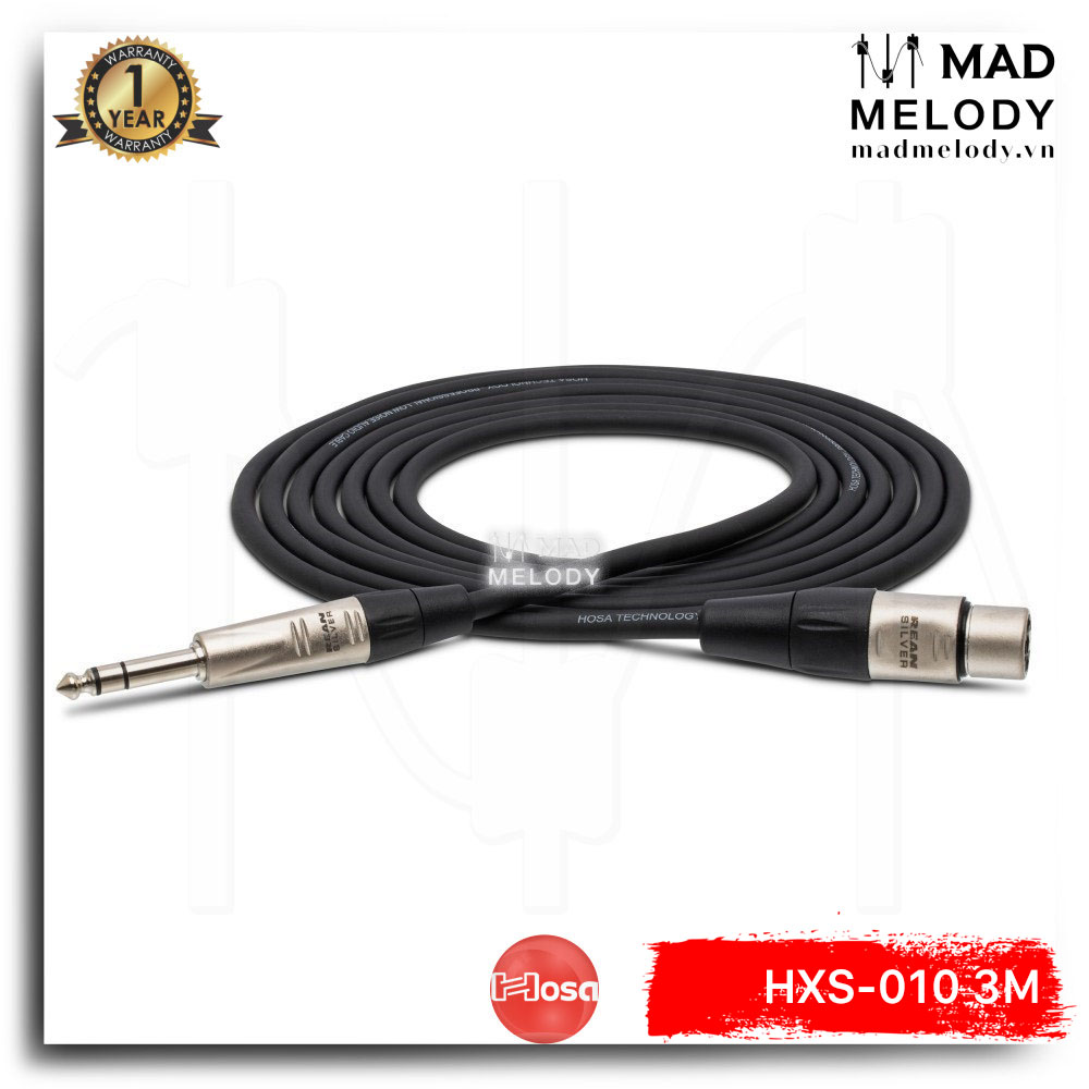 Hosa Pro Balanced Interconnect HXS-010