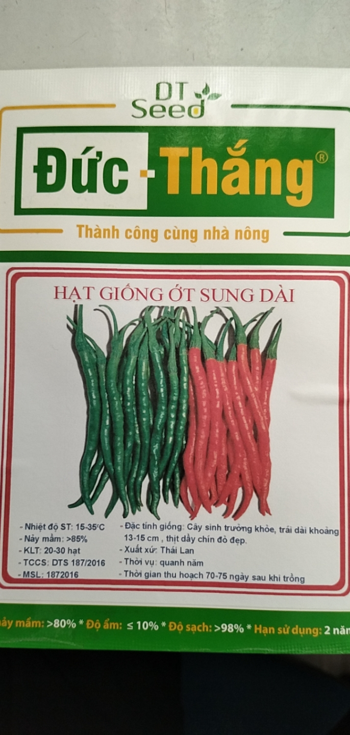 Hạt giống Ớt sung dài( ớt đậu đũa)