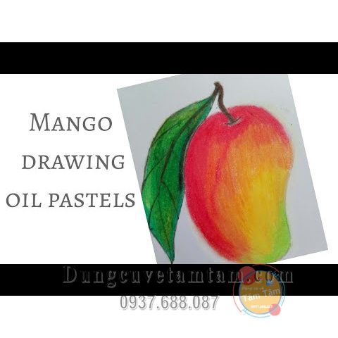 Bút Sáp Dầu Mango 18/24 Màu, Mango Oil Pastels