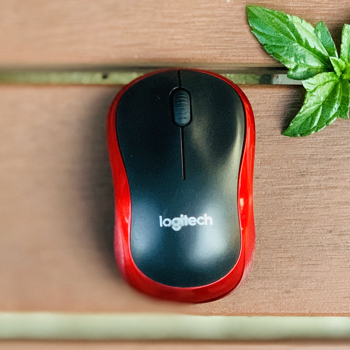 [HCM][ Siêu Sale ] Mouse Chuột Không Dây M186 - Jusa Tặng Pin