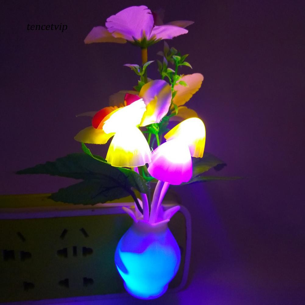 ĐÈN NGỦ CẢM ỨNG GIÁ SỈ