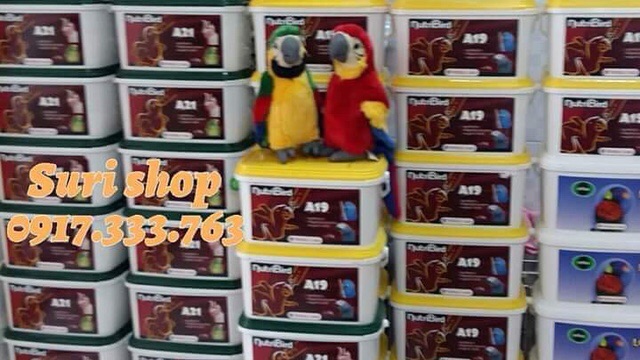 [HCM]Bột A19 cho vẹtchim gói 100g date mới cập nhật
