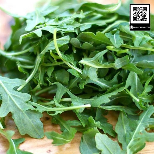 Hạt giống rau rocket (rau Arugula) - Gói 1g