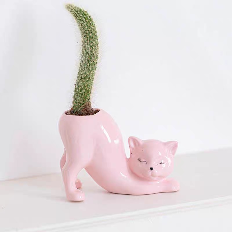 Chậu gốm sứ hình mèo dễ thương