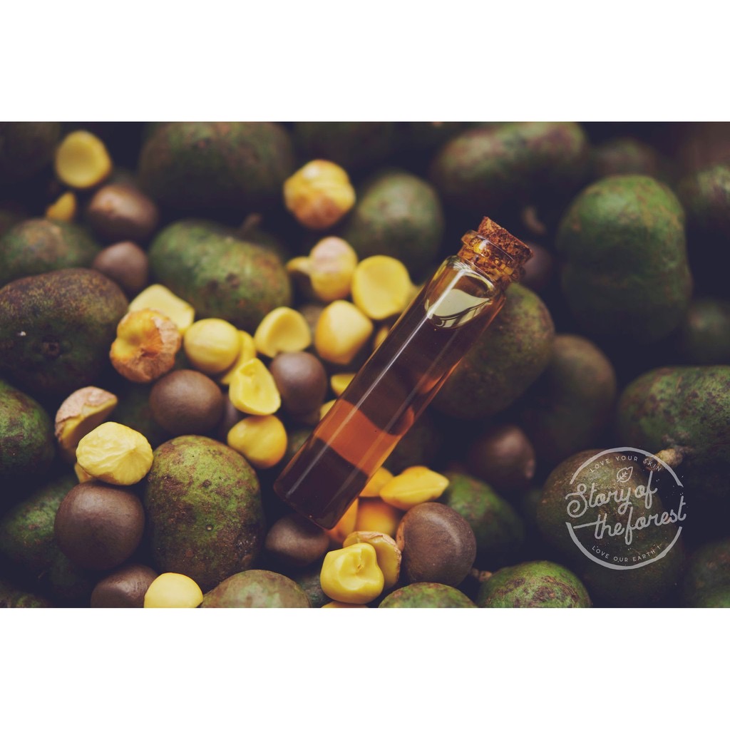 DẦU HẠT TRÀ CAMELLIA OIL - TÍA TÔ [STORY OF THE FOREST]