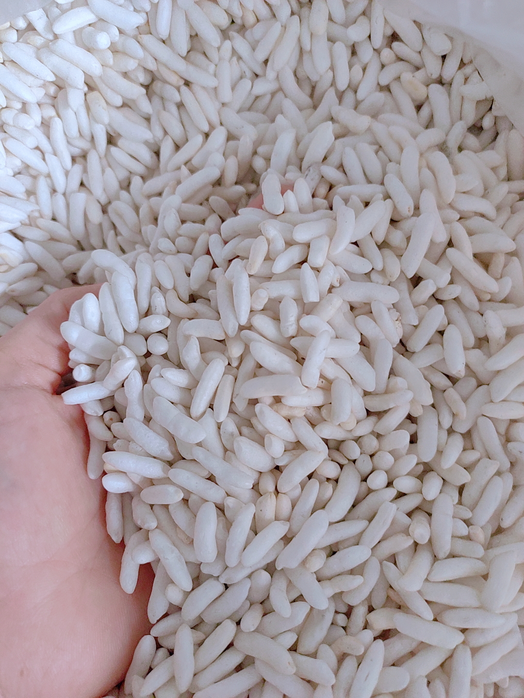 Cốm gạo - Thức ăn cho hamster,thú cưng- 50gr