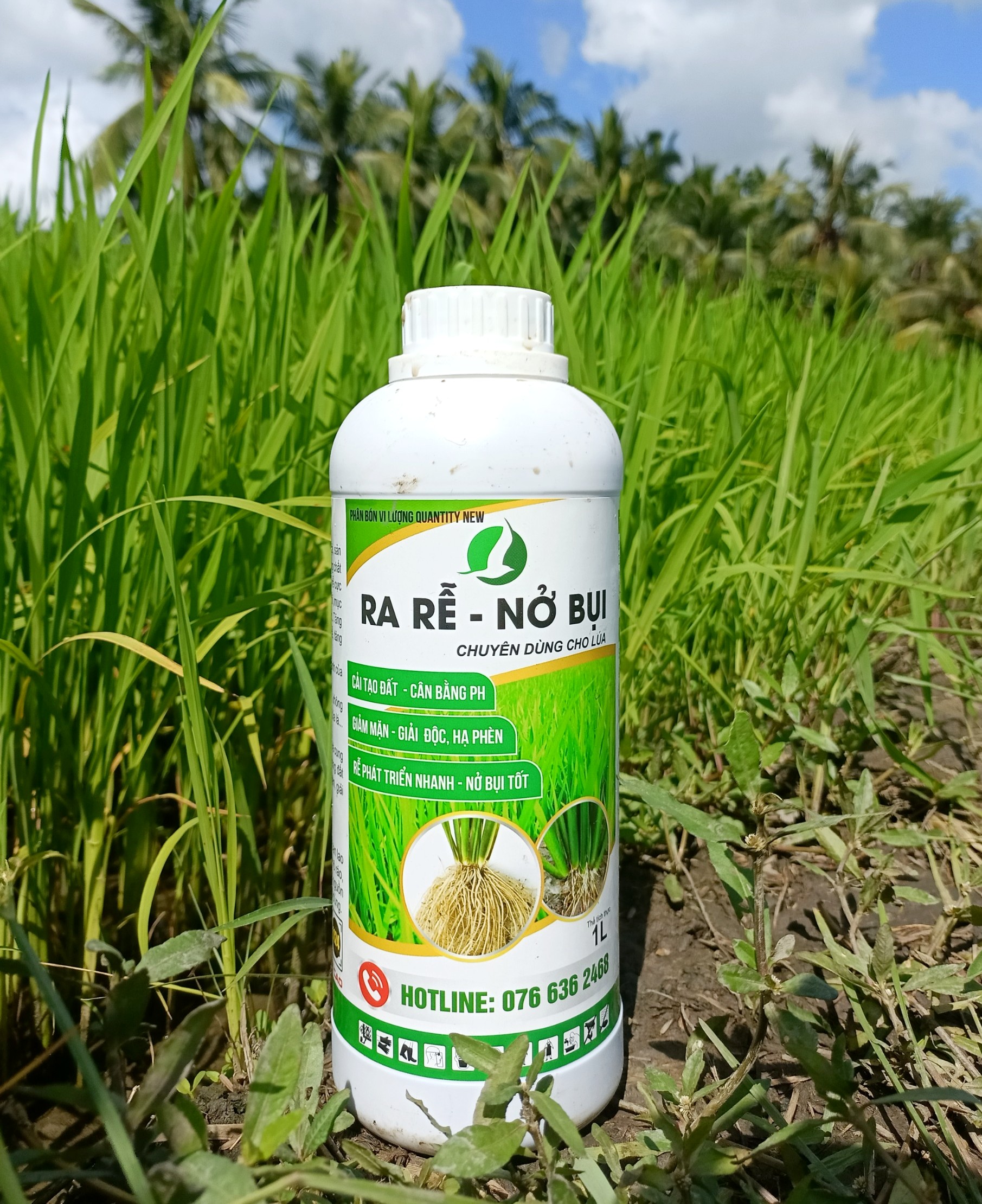 RA RỄ NỞ BỤI, ĐẺ NHÁNH CHUYÊN DÙNG CHO LÚA - CHAI 500ML VÀ 1LÍT