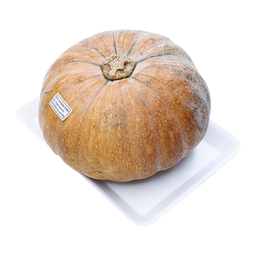 Hạt giống bí đỏ tròn - gói 2 gram