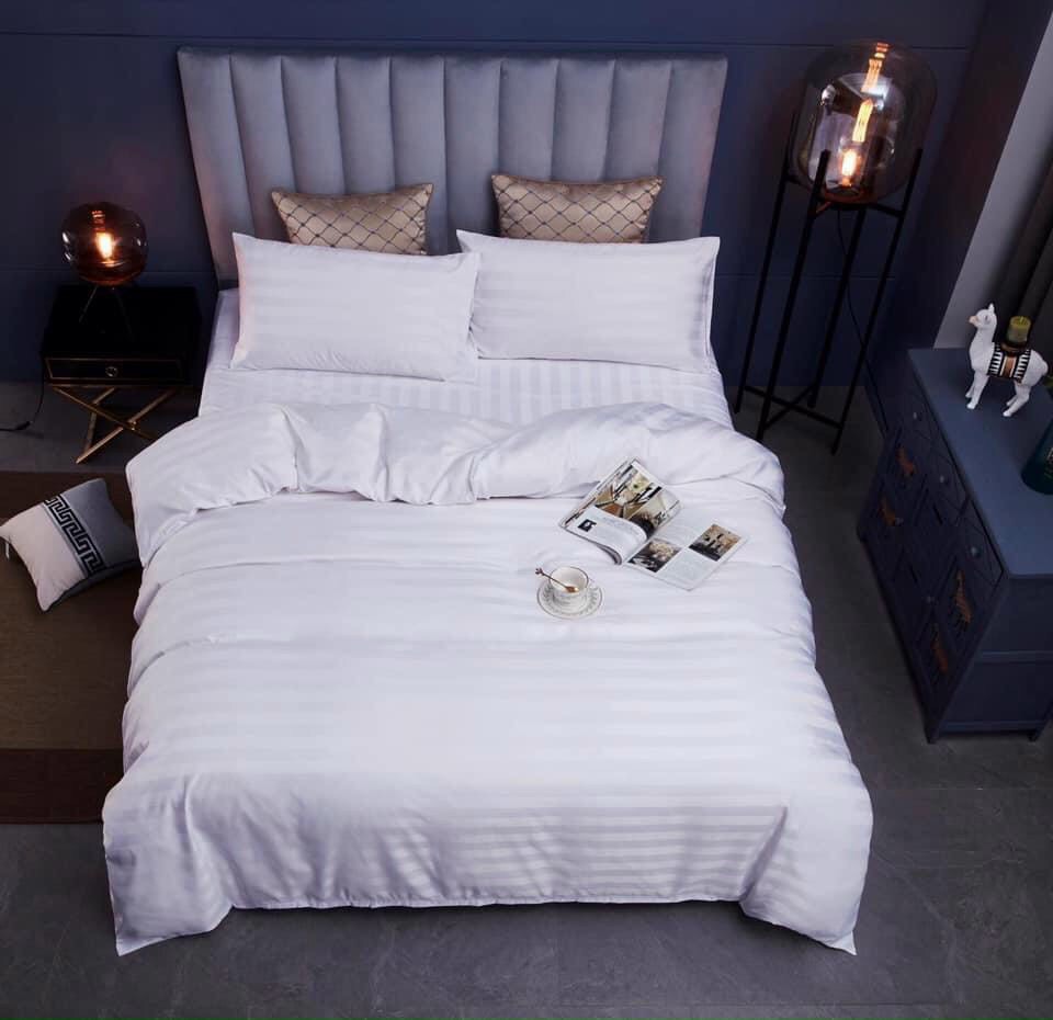 Bộ Chăn Ga Gối Cotton 3F Cao Cấp Chuyên Dùng Cho Nhà Nghỉ , Khách Sạn , Homestay - Chất Liệu Thoáng Mát, By. C.A Decor Store