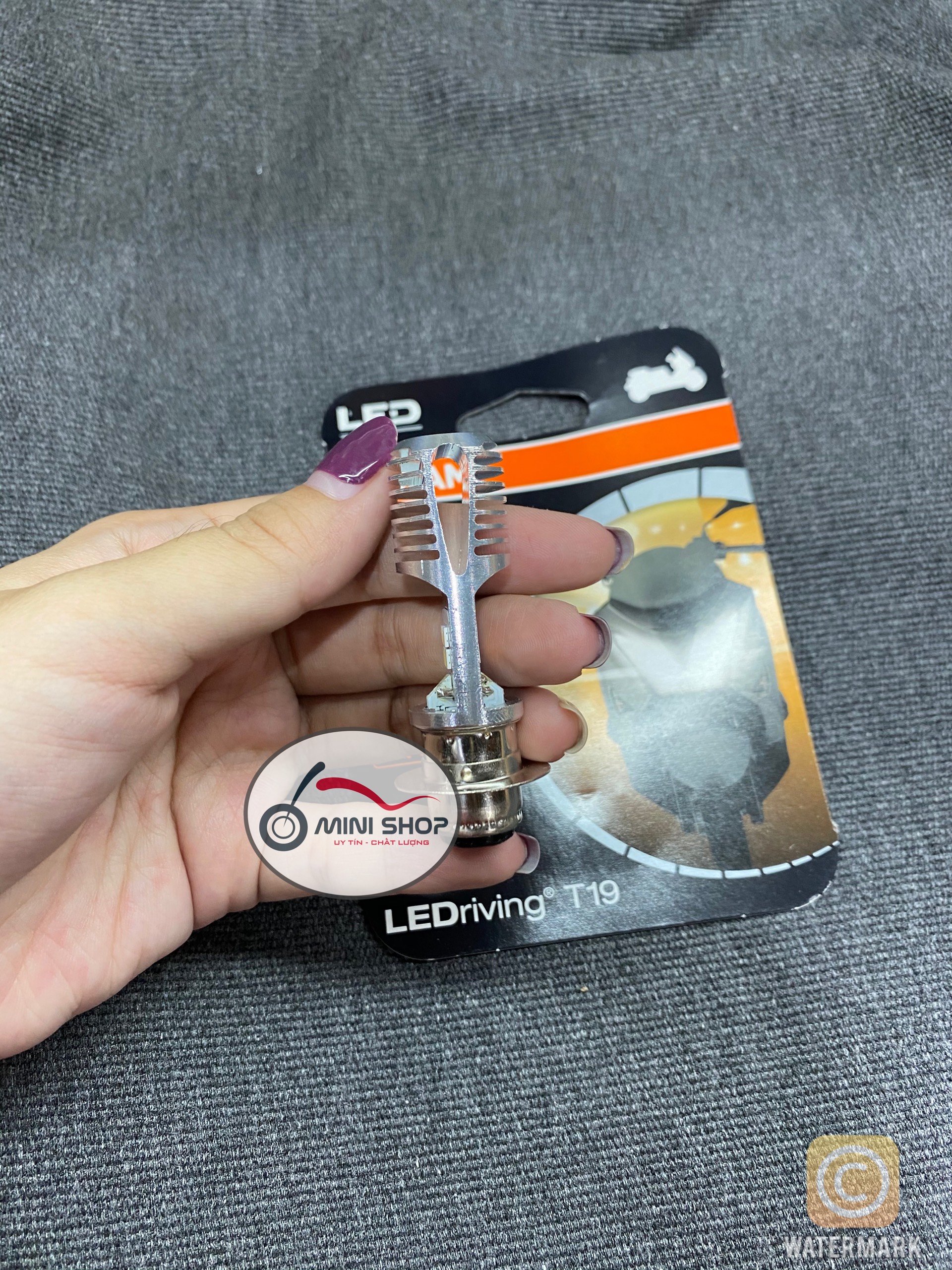 BÓNG LED OSRAM M5