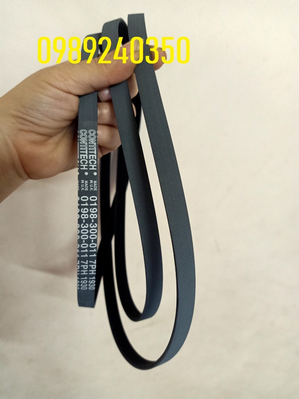 Dây curoa, dây đai máy sấy Electrolux EDV 8052 chính hãng