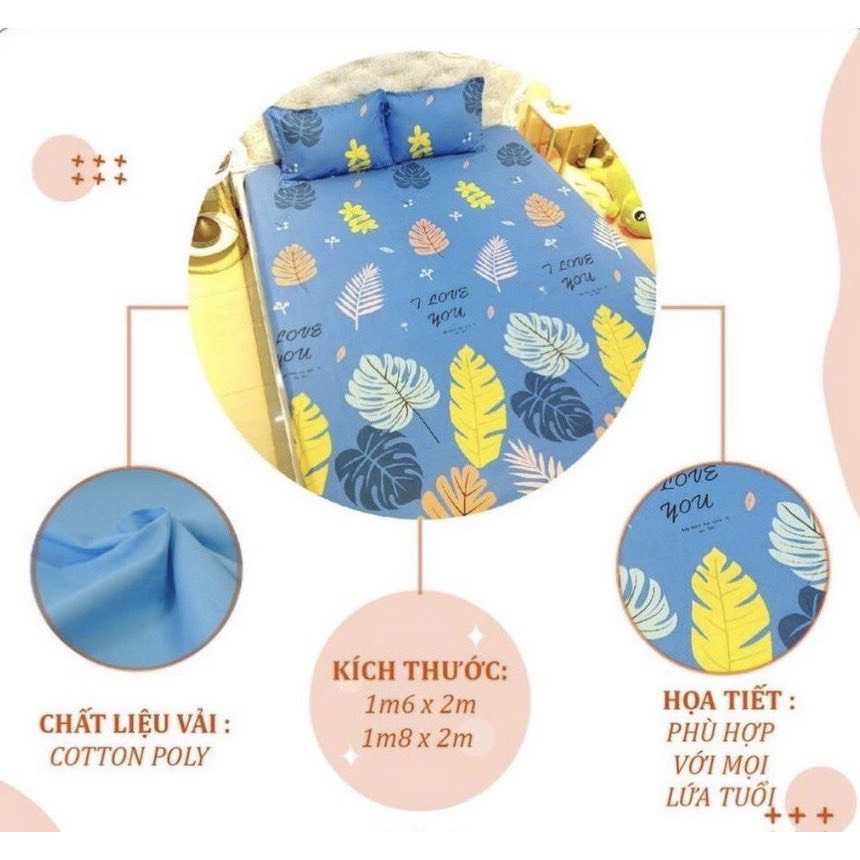 Ga trải giường m6/m8 drap giường poly nhiều mẫu lựa chọn