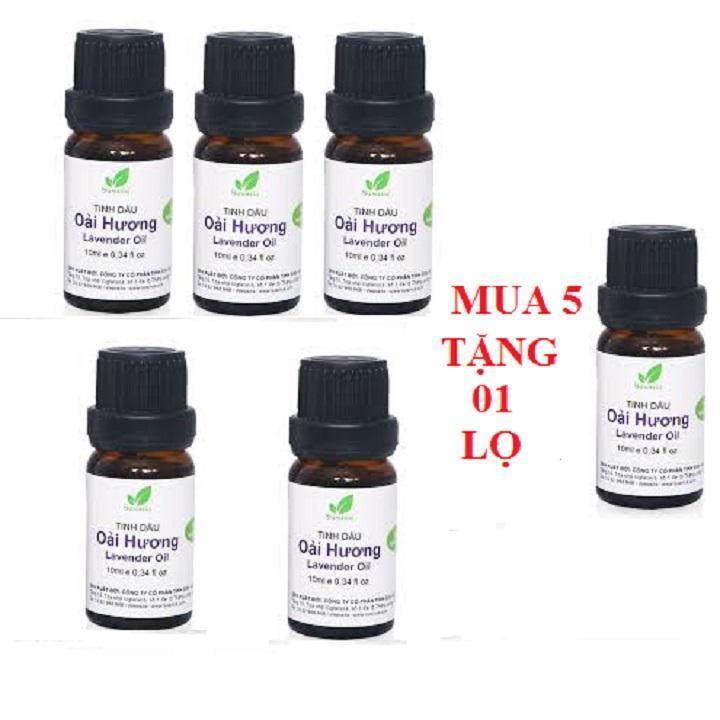 Mua 5 tặng 1 - combo 5 lọ tinh dầu oải hương lavender 10ml + tặng thêm 1 lọ tinh dầu oải hương