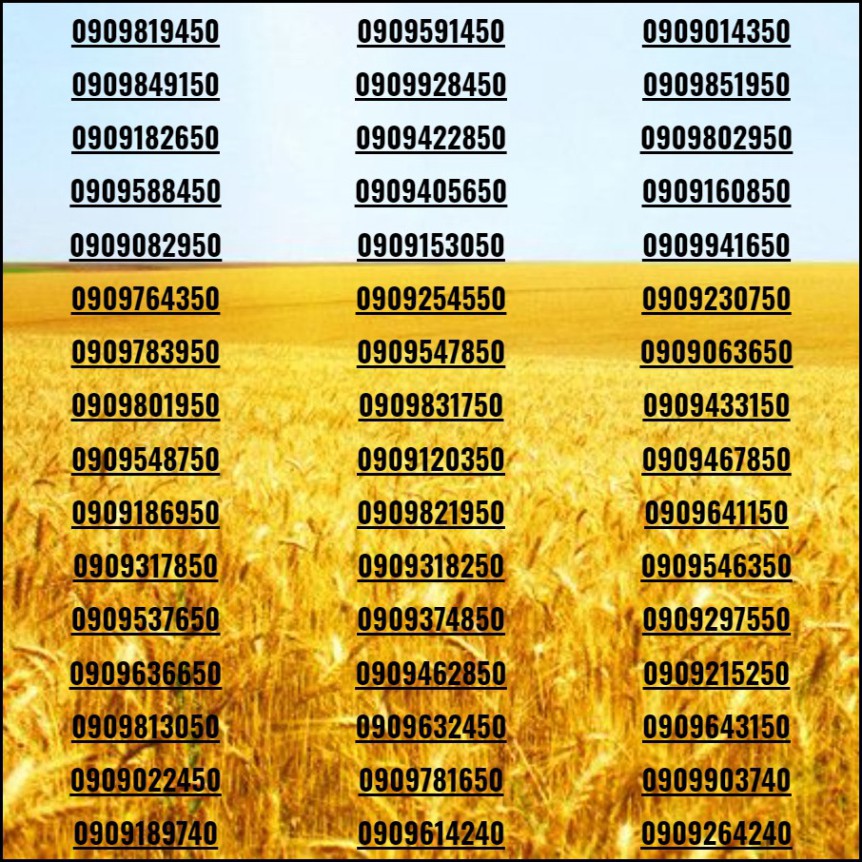 [HCM]Sim đẹp Số tiến