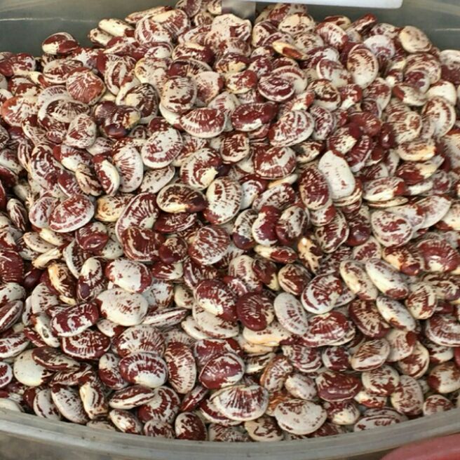 1kg đỗ ngự
