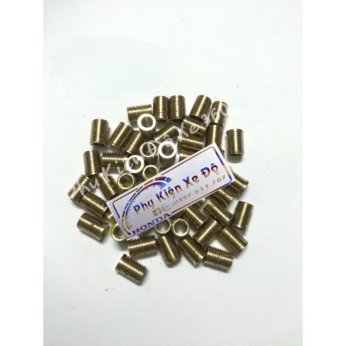 50 Ren Cấy 6x8 Có Taro