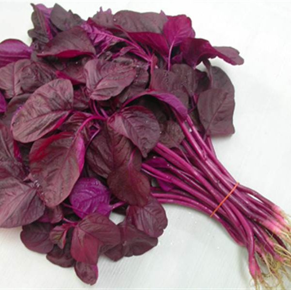 DỀN ĐỎ CAO SẢN CN-66( gói 20 gram)