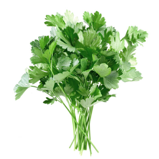 [Siêu thị WinMart] - Cần tây nhỏ WinEco gói 100g
