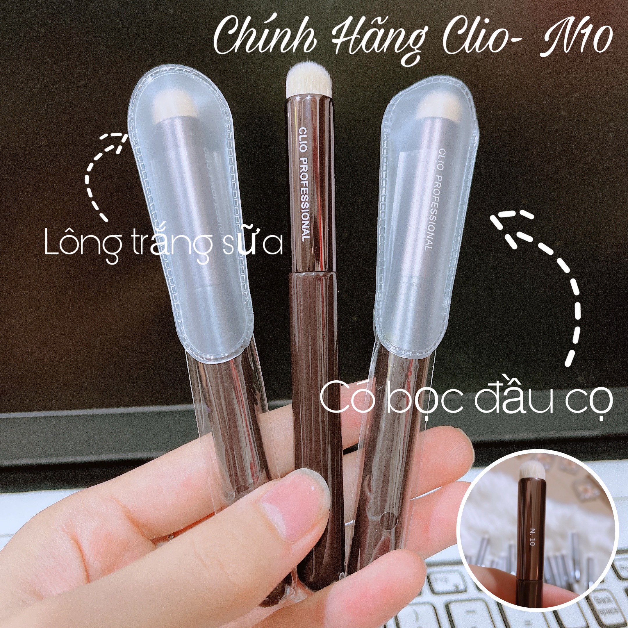 CỌ SON CLIO, CỌ TÁN SON MÔI N10 CLIO [Chính Hãng]