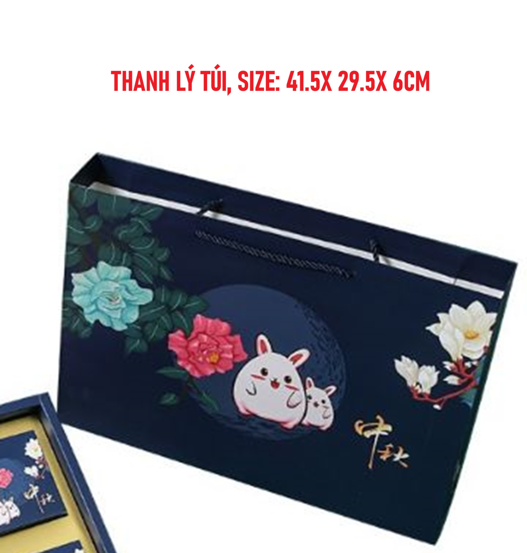 BX19 - Hộp đựng socola 6v, kèm túi xách