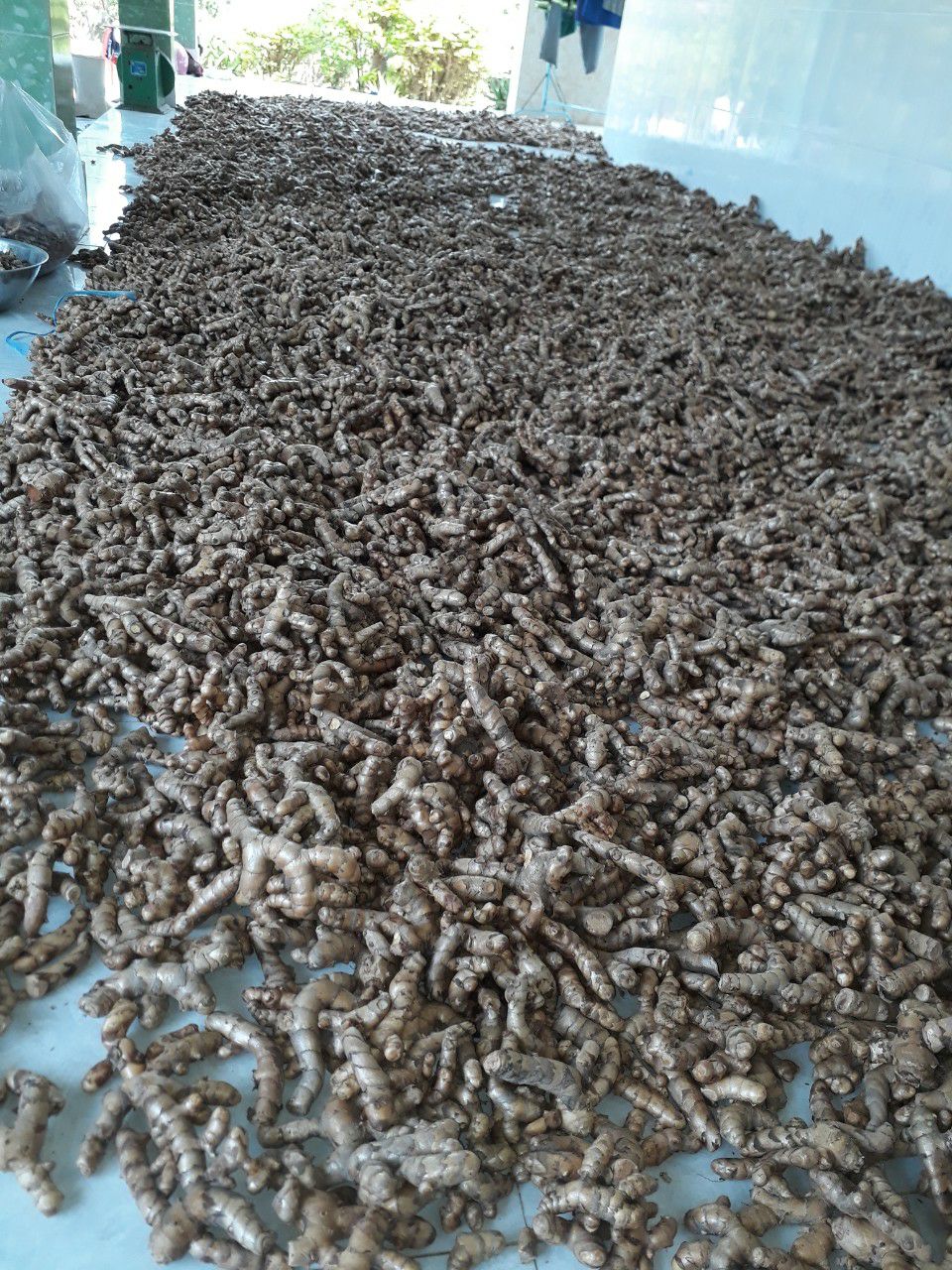 Củ nghệ trắng 1kg
