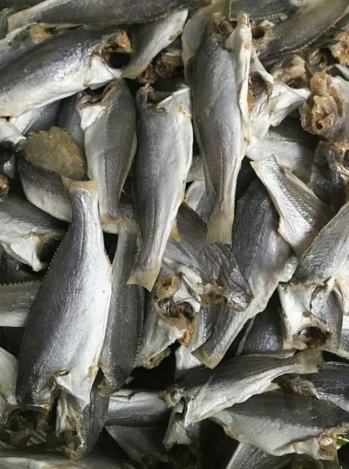 Khô cá lù đù mặn, ăn bắt cơm (Chiên, Chưng thịt..)