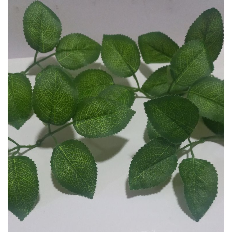 100g Lá hoa hồng vân