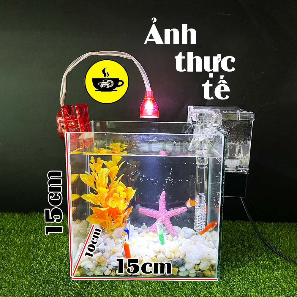 Combo Hồ Cá Betta + Phụ Kiện Đèn Cây Sỏi Trang Trí Bể Cá Kính