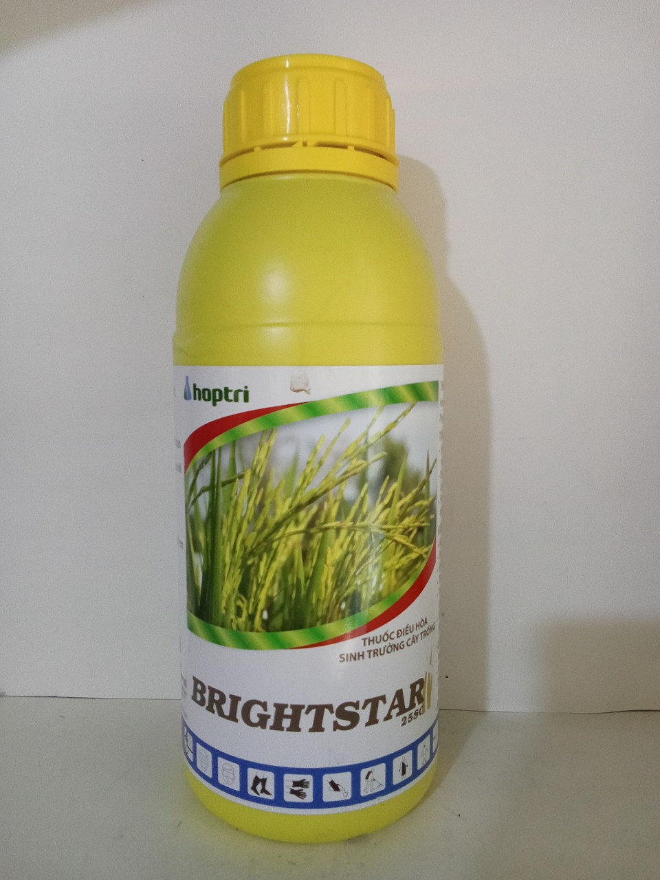 Brightstar 25SC t huốc điều hòa sinh trưởng – Xử lý ra hoa trái vụ trên Xoài – Sầu Riêng