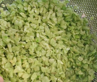 [hcm] 500gr Cốm dẹp xanh Hà Nội